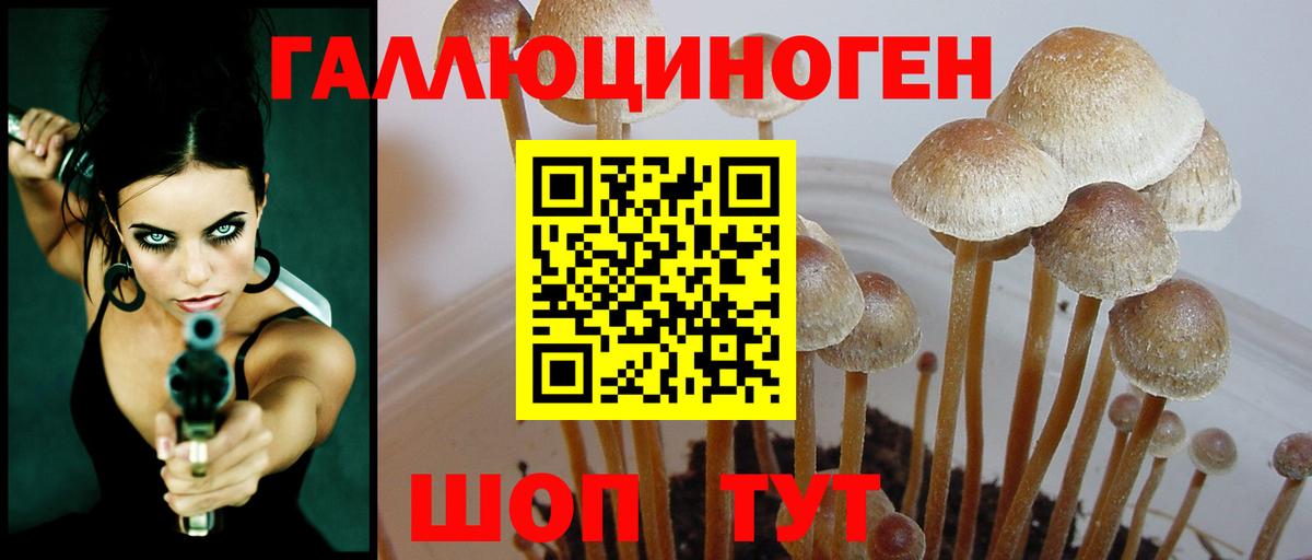 Галлюциногенные грибы Cubensis Хасавюрт