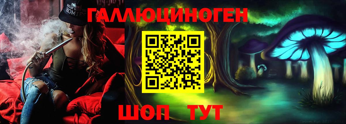 как найти закладки  Псилоцибиновые грибы Psilocybine cubensis  Вход с VPN  Псилоцибиновые грибы прущие грибы  Хасавюрт 